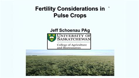 Pulse Agronomy Webinar Fertility Of Pulses Saskatchewan Pulse Growers