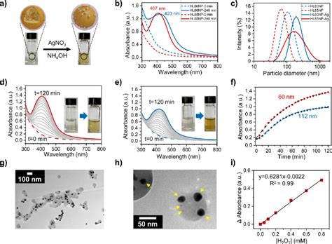 Self Assembly Of Silver Nanoparticles On The Surface Of Cross Linked