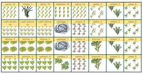 Sq Ft Gardening Chart Square Foot Gardening Planner Square Foot