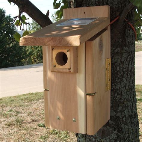 Bluebird House Design
