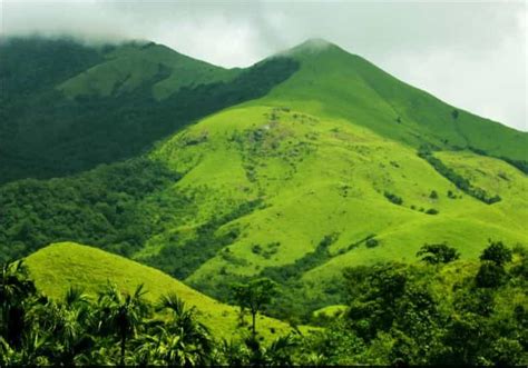 A Guide to the Kumara Parvatha Trek , Trekking at the Kumara Parvatha Trek