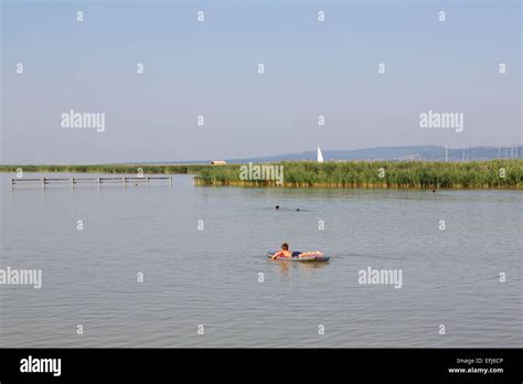 Bathing Bay On Lake Neusiedl In Breitenbrunn Northern Burgenland Burgenland Austria Stock