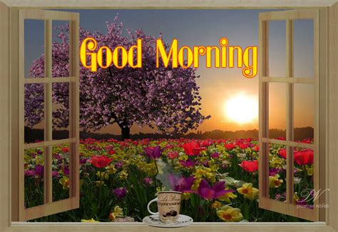 good morning premium wishes