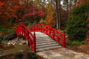 Life in Bloom: The 7 Most Beautiful Botanical Gardens in NC - Carolina ...