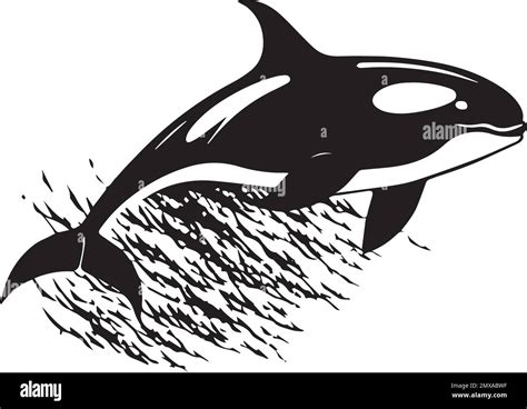 Orca Killer Whale Monochrome Logo Stock Vector Image Art Alamy