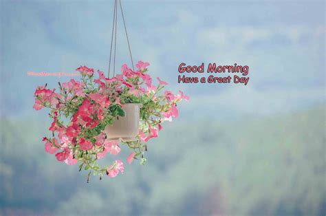 Good Morning Flowers Good Morning Fun