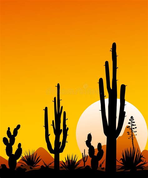 Mexican Desert Sunset Cacti Stony Stock Vector Illustration Of Nature Travel 154848709