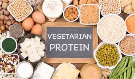 कौन सा शाकाहारी प्रोटीन युक्त भोजन स्वास्थ्य के लिए अच्छा है What Vegetarian Protein Rich Food