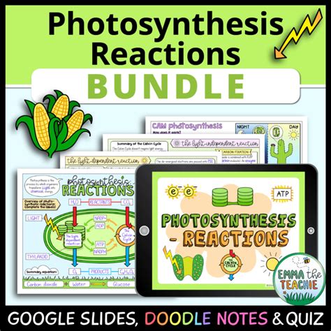 Photosynthesis Doodle Notes Emmatheteachie