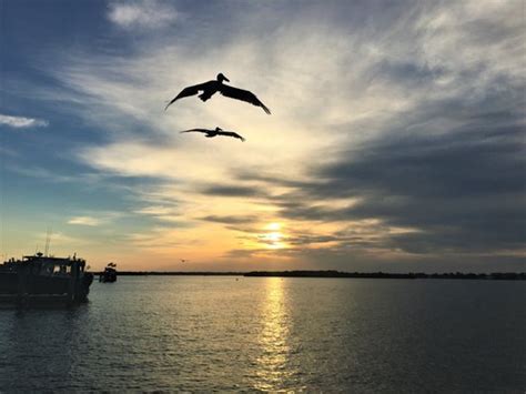 Lady Godiva Fishing Charters 20 Photos 110 Johns Pass Boardwalk