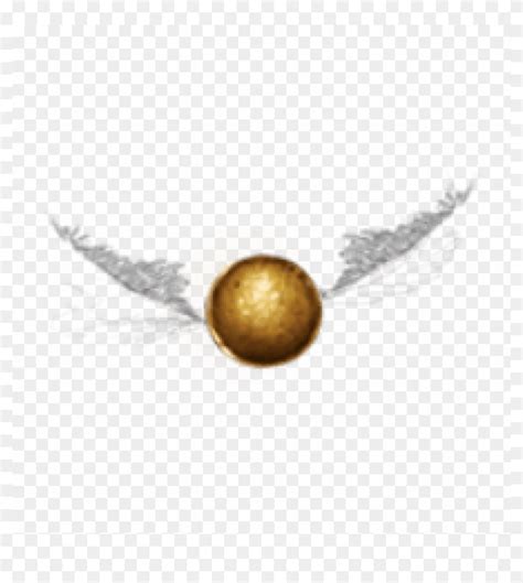 Free Png Pomo De Ouro Png Image With Transparent Background Macro