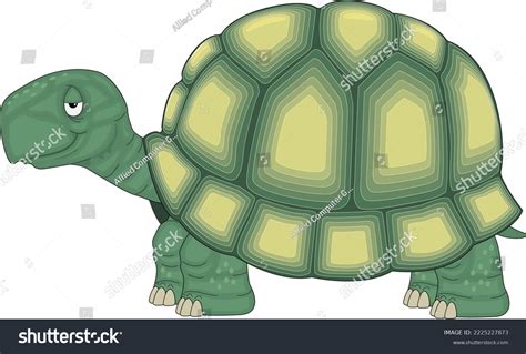 Turtle Smiling Cartoon Vector Illustration Stock Vector (Royalty Free ...