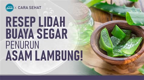 Enak Dan Mudah Resep Minuman Lidah Buaya Untuk Asam Lambung Hidup