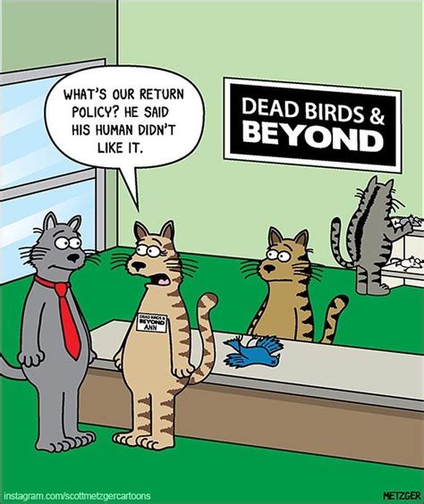 Fresh And Funny Cat Comics By The Brilliant Scott Metzger Worlds