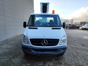 Mercedes Benz Sprinter 313 CDI Ruthmann TB 220 Autohoogwerker Te Koop