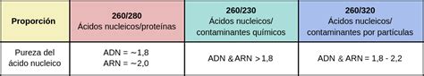 Pureza Del Cido Nucleico Labster