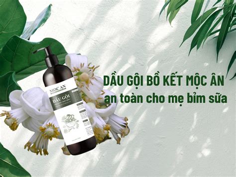 Dầu gội cho phụ nữ sau sinh xua tan nỗi lo hiếm tóc của mẹ bỉm Mộc Ân