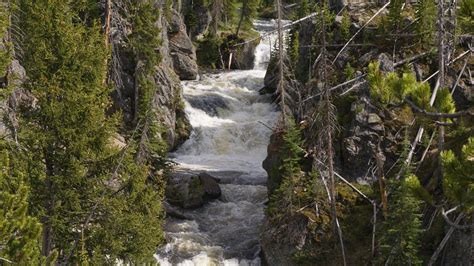 7 Waterfalls in Yellowstone for an Awe-Inspiring Visit