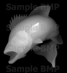 8 Grayscale ideas | grayscale, grayscale image, greyscale 