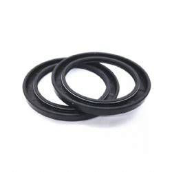 Taiwan Sog Hydraulic Oil Pump High Pressure Tcn Tcv Oil Seal Rubber Nbr