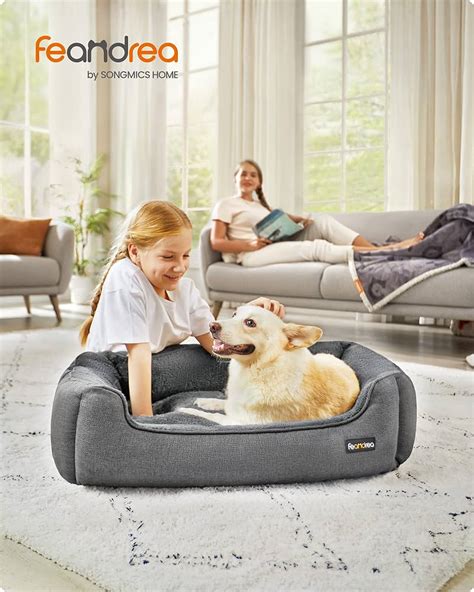 Quelle Taille De Lit Choisir Pour Un Chien De Taille Moyenne