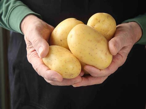 20 Types Of Potatoes For The Best Potato Dishes Facts Net