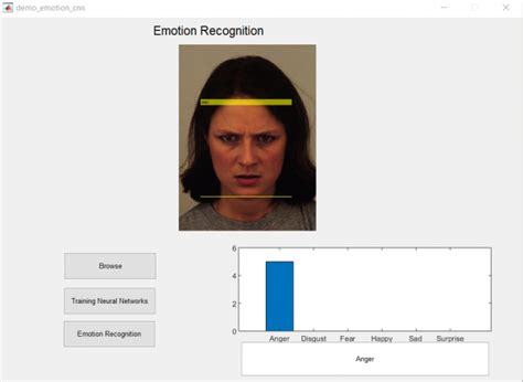 Facial Emotion Recognition Using Deep Learning Matlab