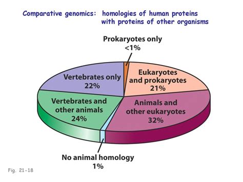 Evolutionary genetics - ppt download