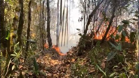 El Dorado Incendio Destruye M S De Hect Reas De Bosque Donde Nacen