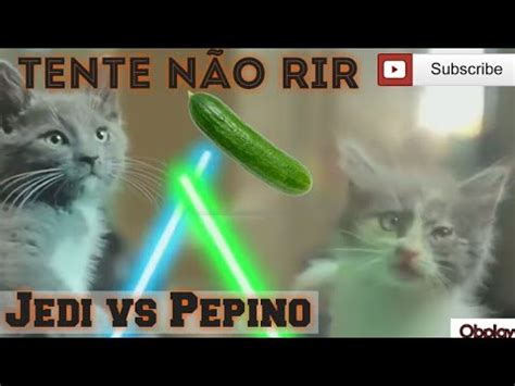 Tente N O Rir Videos Engra Ados Gatos Youtube