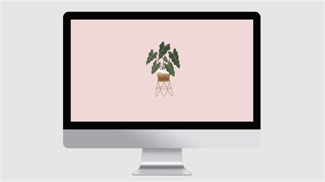 Boho Minimalist Plant Desktop Wallpaper for Mac MacBook Wallpaper ...