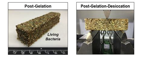 Бетон, который способен срастаться: masterok — LiveJournal