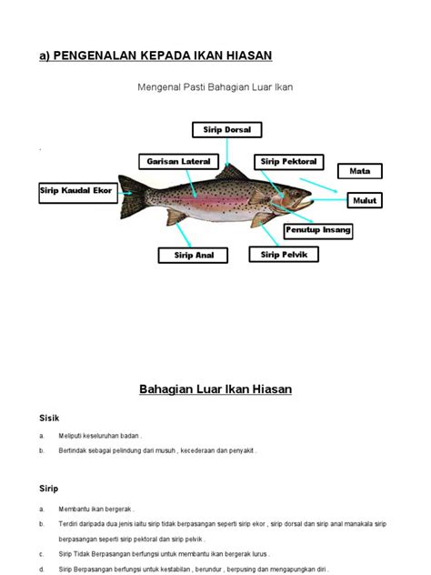 PDF Pengenalan Kepada Ikan Hiasan PDFSLIDE NET