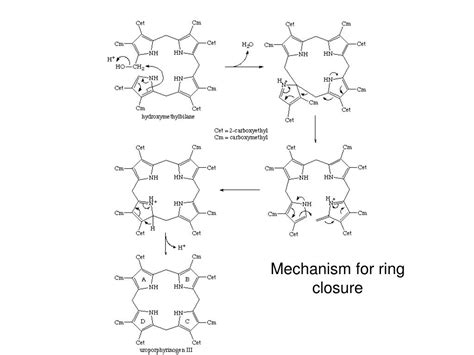 Ppt Porphyrin Ring Synthesis And Breakdown Powerpoint Presentation