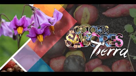 Los Colores Y Sabores De Mi Tierra Documental Uptc Youtube