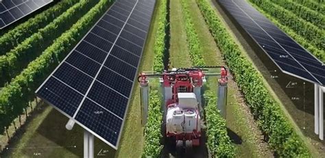 La Energ A Agrivoltaica Combina Generaci N De Energ A A Trav S De Sol Y