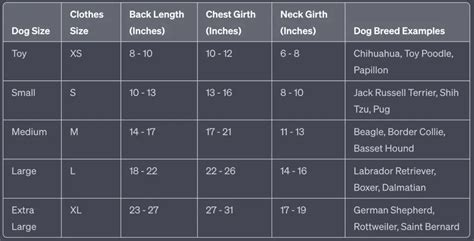 Importance of Dog Clothes Size Chart by Breed