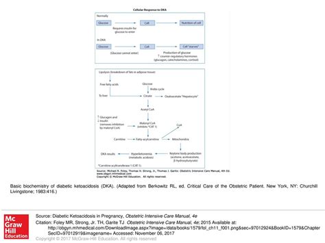 Basic Biochemistry Of Diabetic Ketoacidosis Dka Ppt Download