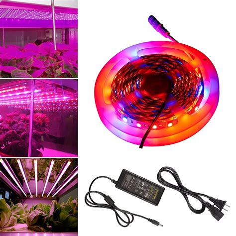 M Led Grow Lights Dc V Waterproof Fite De Growing Led Strip