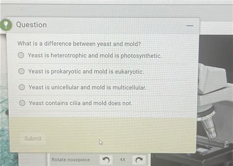 Solved QuestionWhat is a difference between yeast and | Chegg.com