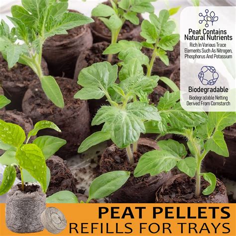 Snapklik Legigo Pcs Mm Seed Starter Peat Pellets Pods For