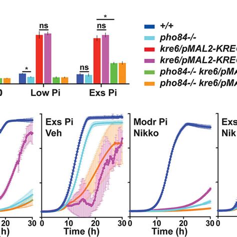 Pho84 Activity Contributed To Cell Wall Chitin And Beta 16 Glucan