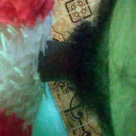 Amateur Fucking With Toy Gay Twink Twink Porn Feat Easy Fuck XHamster