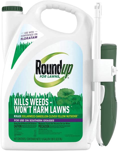 Roundup For Lawns 6 Ready To Spray Southern 32 Oz Pack Of 1 Patio Lawn