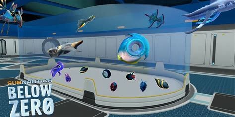 Subnautica Below Zero A Complete Guide To Eggs