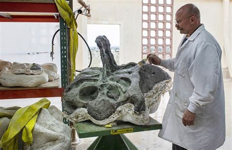 Natural History Museum needs help naming a giant new dinosaur fossil ...