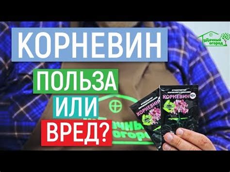 Корневин: инструкция по применению для комнатных растений