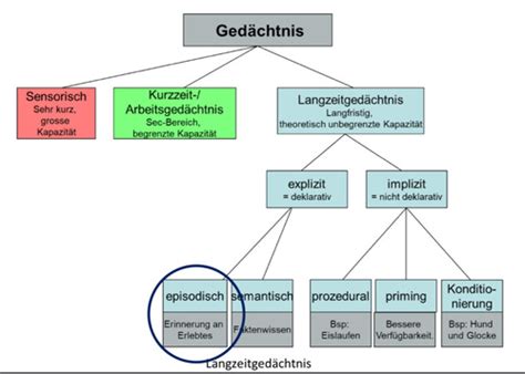 Episodisches Gedächtnis Karteikarten Quizlet