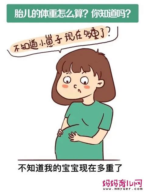 孕期胎儿体重怎么算 七种计算胎儿体重的公式 妈妈育儿网