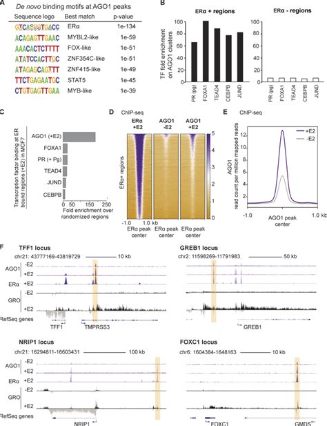 Ago1 Locates At Erα Binding Sites And Its Binding Is Enhanced By E2